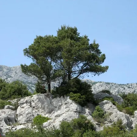 Apartment With A Parking Space Orebic, Peljesac - 4564 Orebic