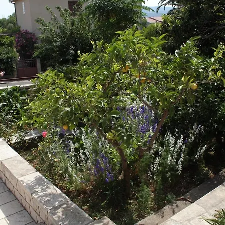 アパート With A Parking Space Orebic, Peljesac - 4564